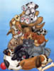 PILE_OF_PUPS